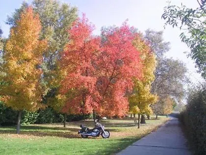 Da Santo Ristorante Pizzeria Ferrara